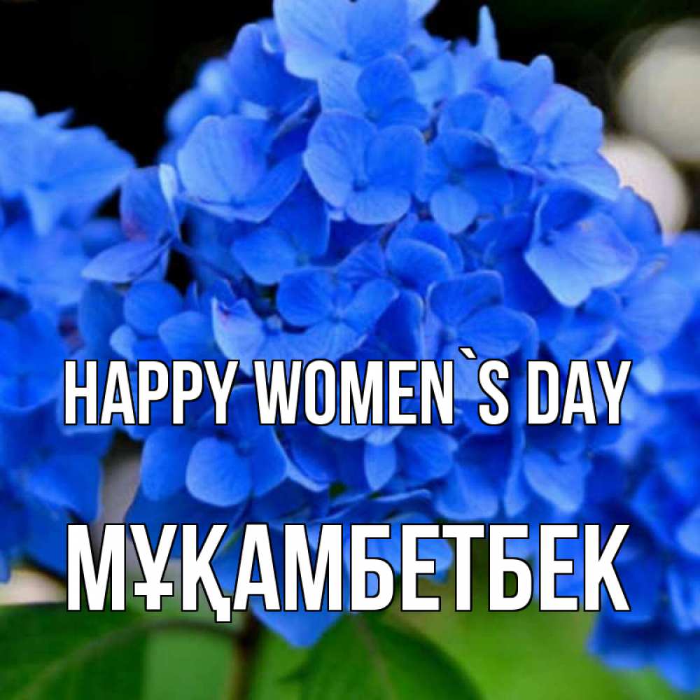 Greetings card с именем, Мұқамбетбек happy women`s day синие цветы Greetings with text for free download 